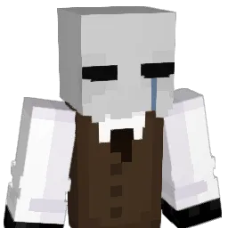 DENMANbg07 Minecraft avatar bust