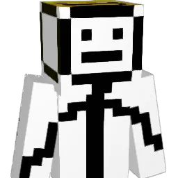 DEWOTO2342 Minecraft avatar bust