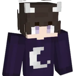 DEXBlackout Minecraft avatar bust