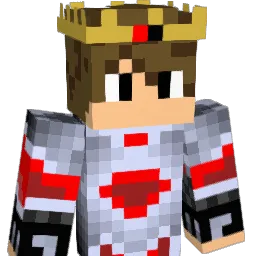 DFA21 Minecraft avatar bust