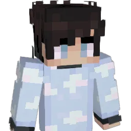 DF_x1 Minecraft avatar bust