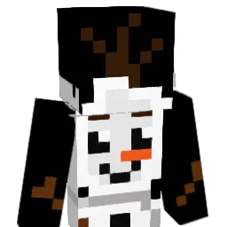DG11x Minecraft avatar bust