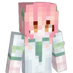 DGCK81LNN Minecraft avatar bust