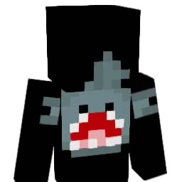 DGKiiDS's Minecraft skin