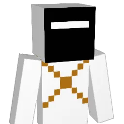 DGibb43 Minecraft avatar bust