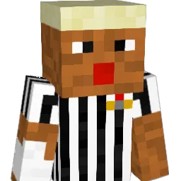 DGrizzly67 Minecraft avatar bust