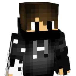 DHD_Official Minecraft avatar bust