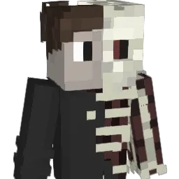 DIAMQND_SLAYER Minecraft avatar bust