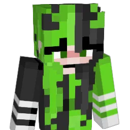 DIDDYKNG555 Minecraft avatar bust