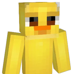 DIDDY_PARTY07 Minecraft avatar bust