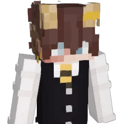 DIDSystem's Minecraft skin