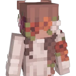 DIDsolar's Minecraft skin