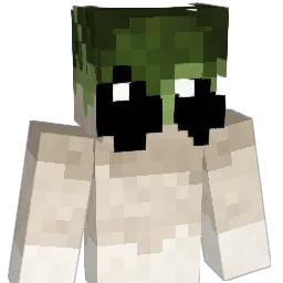 DIE_HerZ Minecraft avatar bust