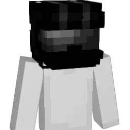 DIHplomas Minecraft avatar bust