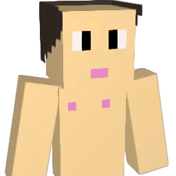 DIMSS Minecraft avatar bust