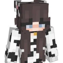 DINDIN10's Minecraft skin