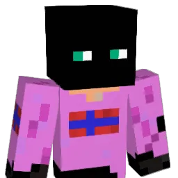 DINGDONGBUBBLE Minecraft avatar bust
