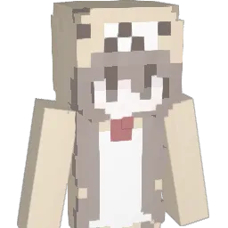 DINGJIAN47 Minecraft avatar bust