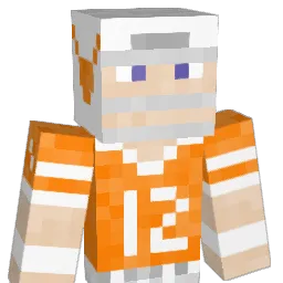 DISCORD0 Minecraft avatar bust