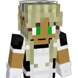 DJM2010 Minecraft avatar bust