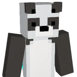 DJPanda09's Minecraft skin