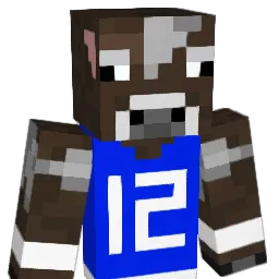 DJWilliams Minecraft avatar bust