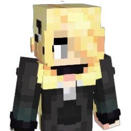 DJnicolass Minecraft avatar bust