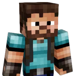 DK_North_ Minecraft avatar bust