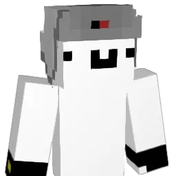 DKidneys Minecraft avatar bust