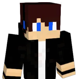 DLinfinitY Minecraft avatar bust