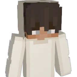 DM23pro Minecraft avatar bust