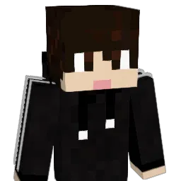 DMND_TOX1N Minecraft avatar bust