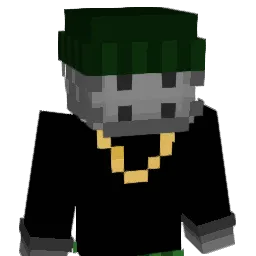 Minecraft-Avatar von DMWmini: Büste