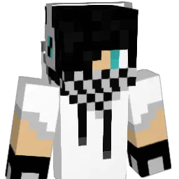 DMvV's Minecraft skin