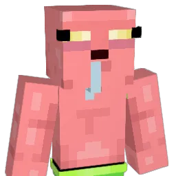 DNASalty Minecraft avatar bust