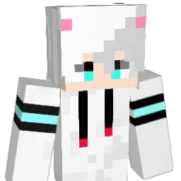 DNGS_Rimr