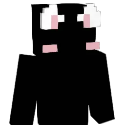 DOBRONXXX_ Minecraft avatar bust