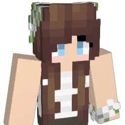 DODA1_ Minecraft avatar bust