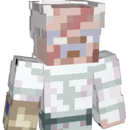 DOH55 Minecraft avatar bust