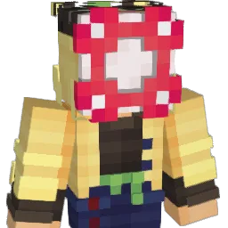 DONG_FORTNITE Minecraft avatar bust