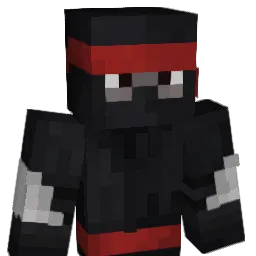 DPG228 Minecraft avatar bust
