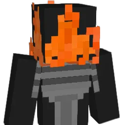 DR70_PER_AM6 Minecraft avatar bust