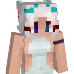 DRBUTTERBUNS4 Minecraft avatar bust