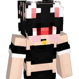 DRN_br Minecraft avatar bust