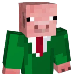 DRSchwein1482 Minecraft avatar bust