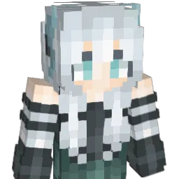 DSAWQE Minecraft avatar bust