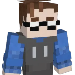 DSD3SIGN Minecraft avatar bust
