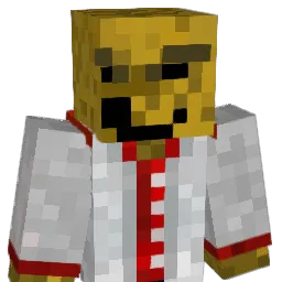 DSGamer9311