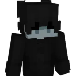 DSJss