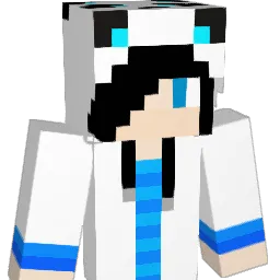 DST_PANDA_STYLE's Minecraft skin
